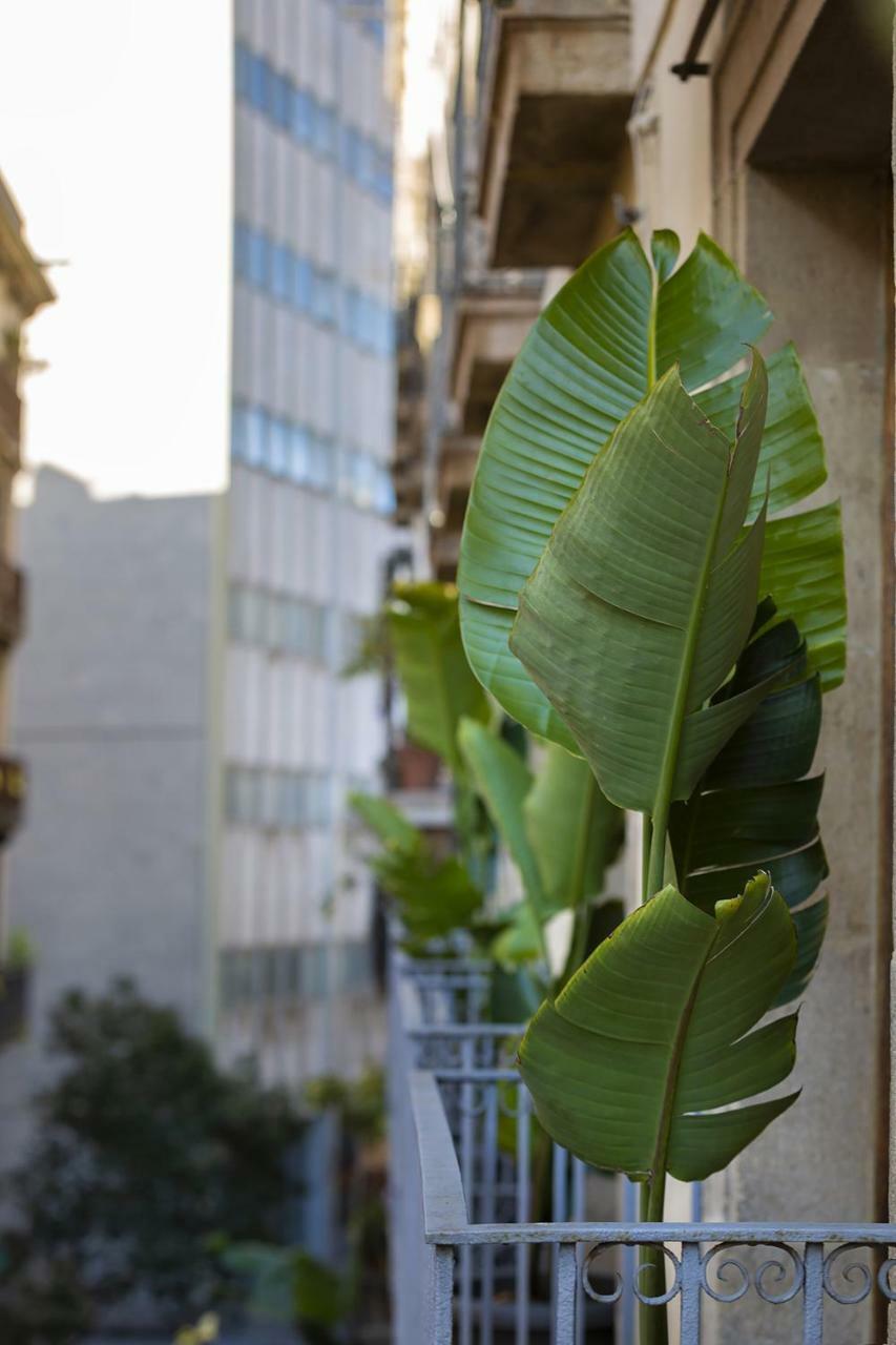 Hostal Sol Y K Barcelona Eksteriør billede
